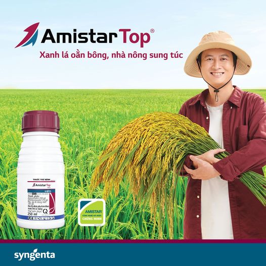 Thuốc trừ bệnh  Amistar Top 325SC - Chai 250ml